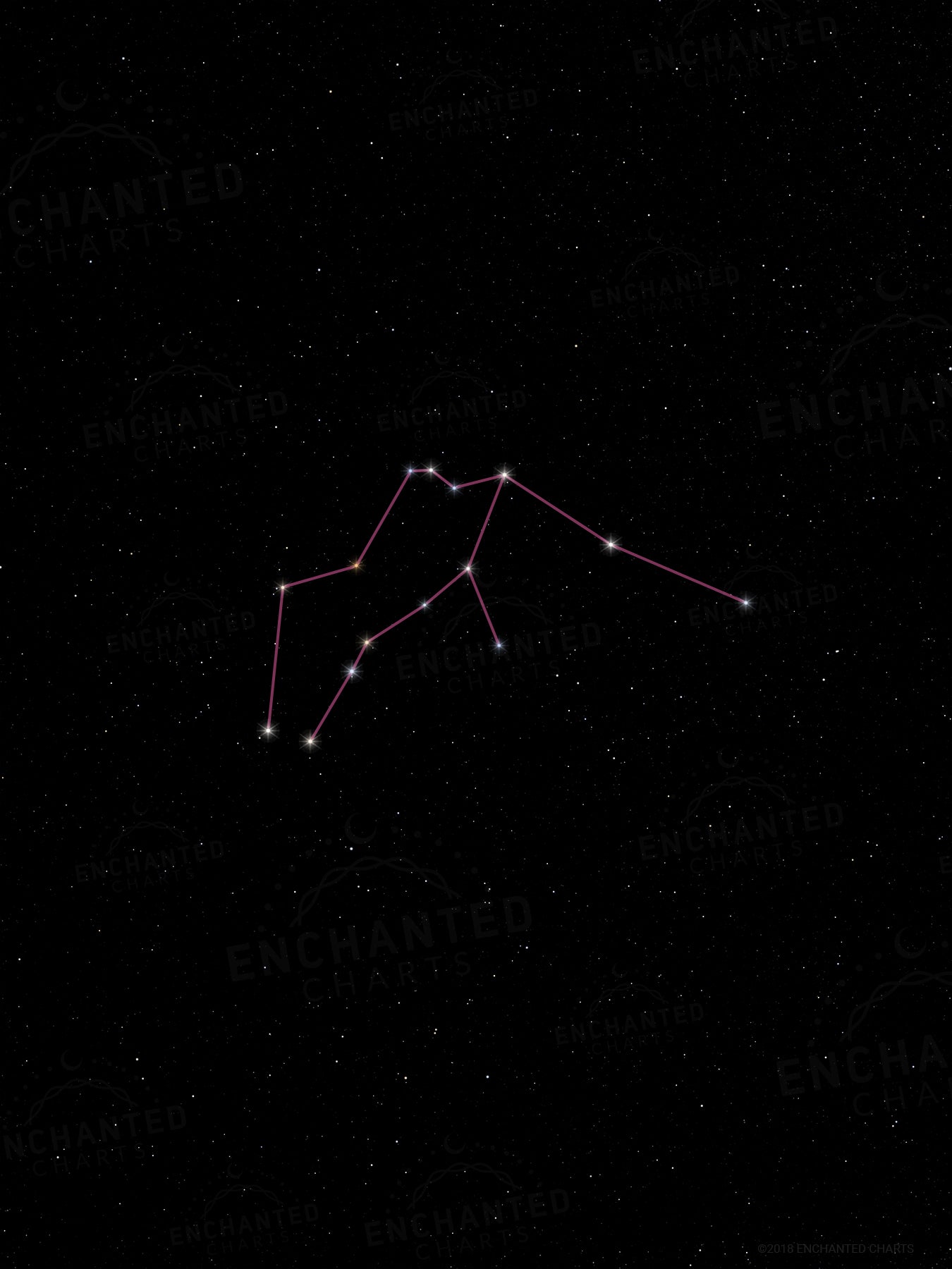 Aquarius Zodiac Sign Star Print