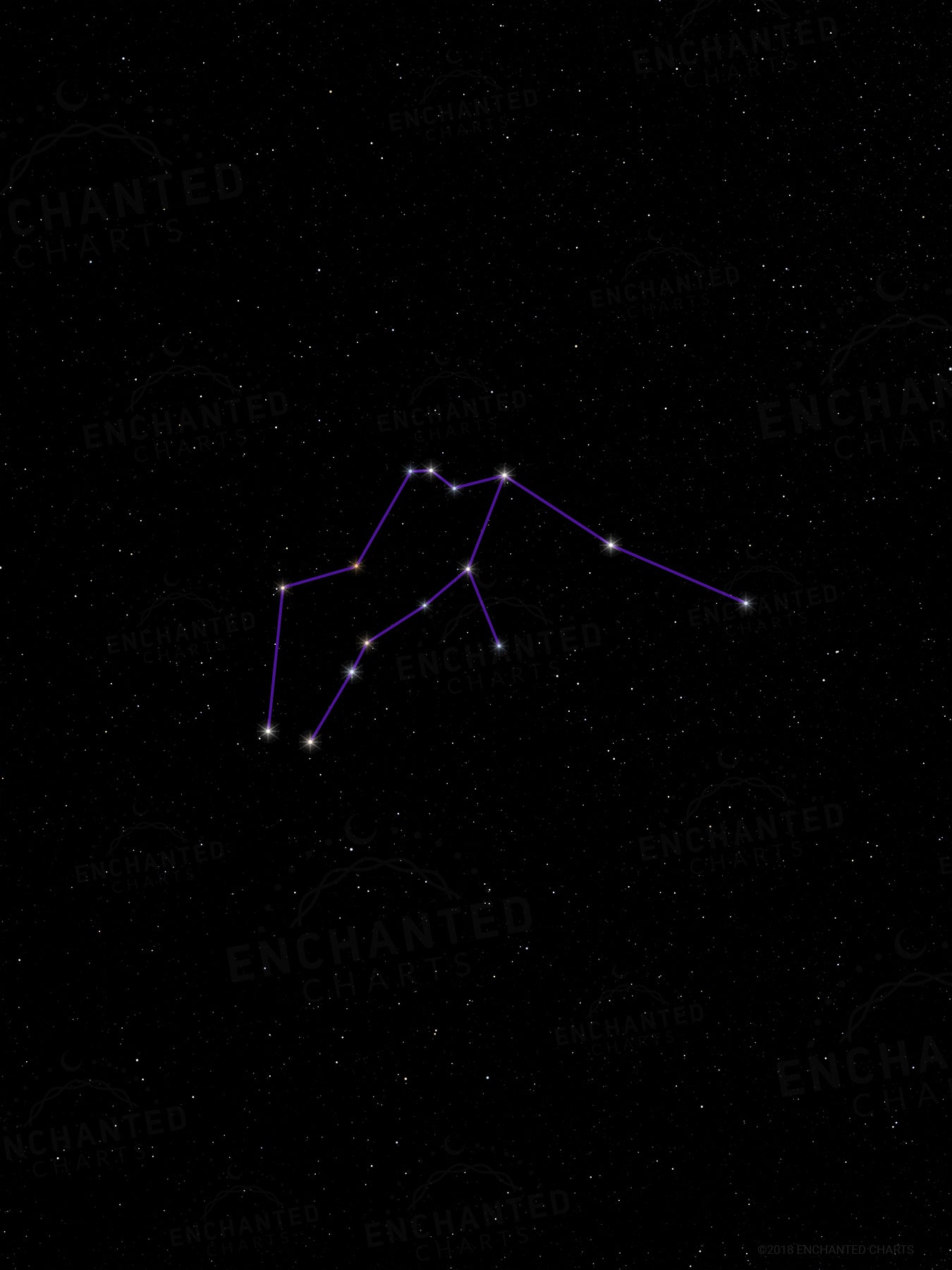 Aquarius Zodiac Sign Star Print