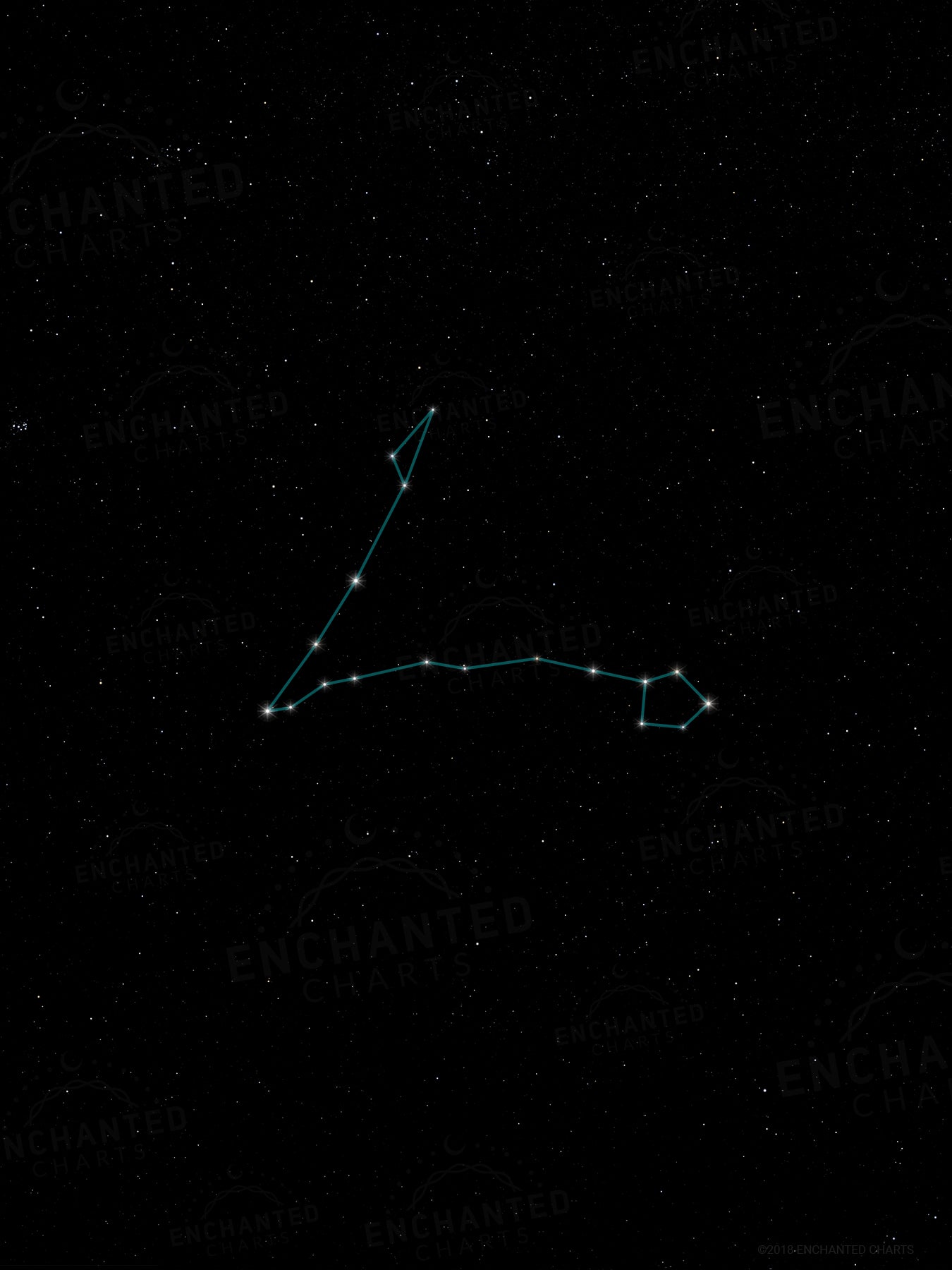 Pisces Zodiac Sign Star Print