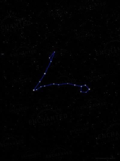 Pisces Zodiac Sign Star Print