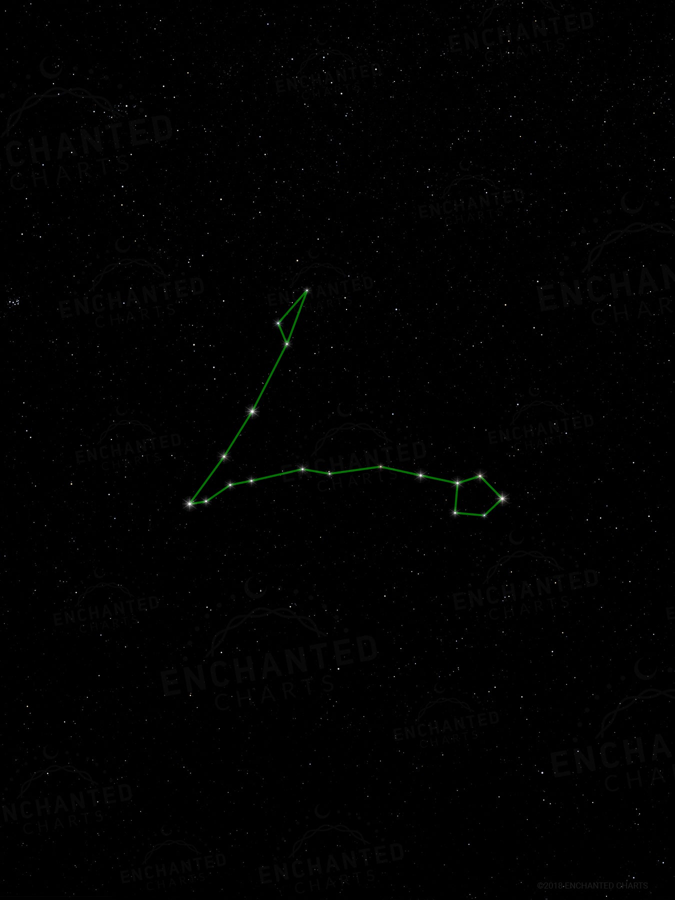 Pisces Zodiac Sign Star Print