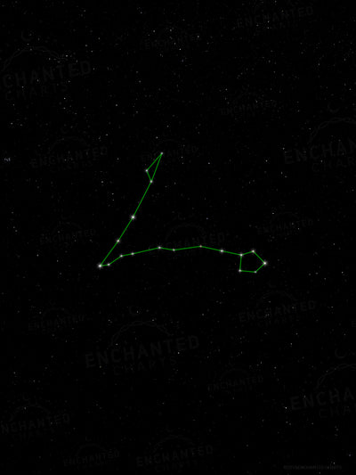 Pisces Zodiac Sign Star Print