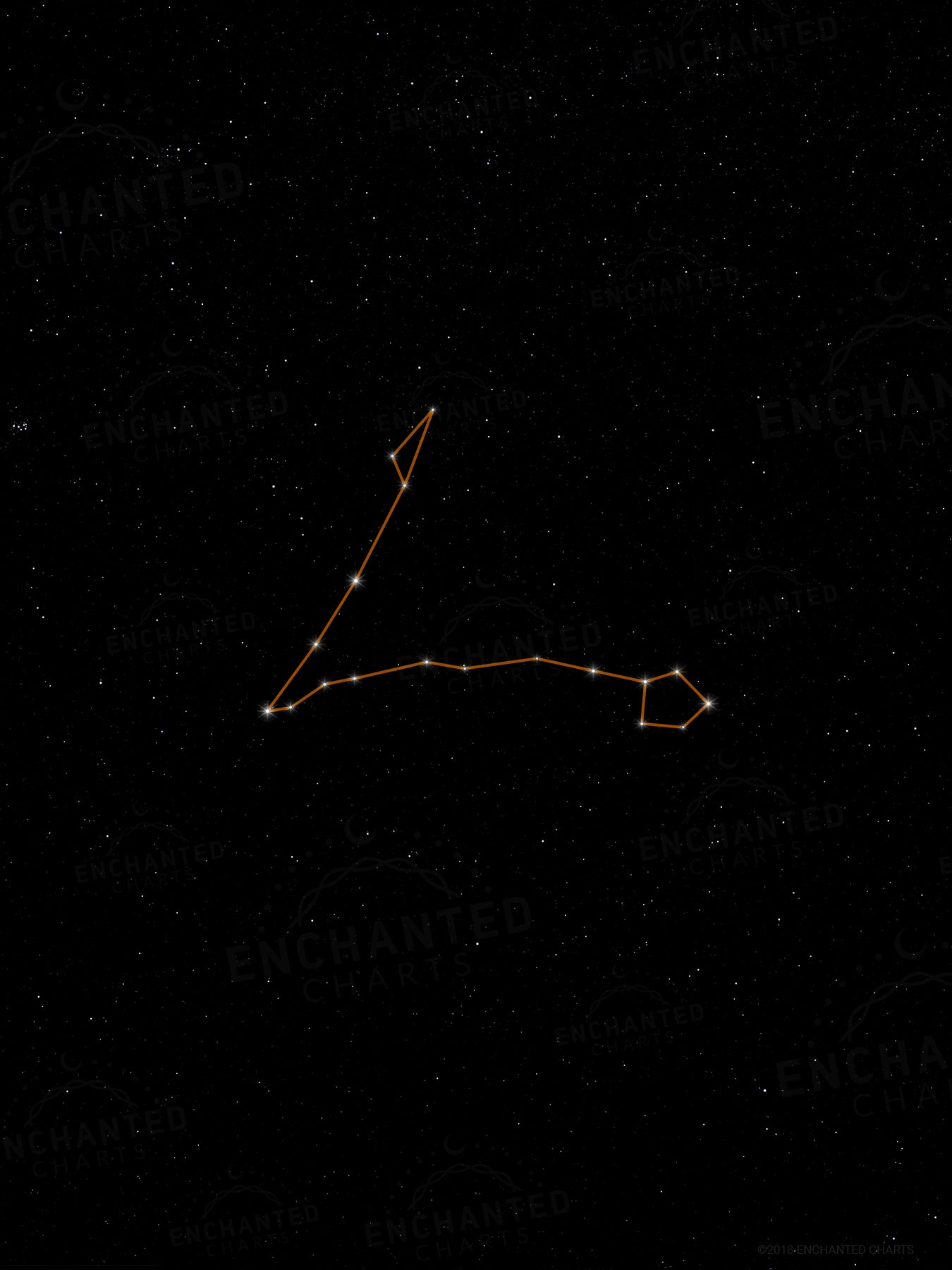 Pisces Zodiac Sign Star Print