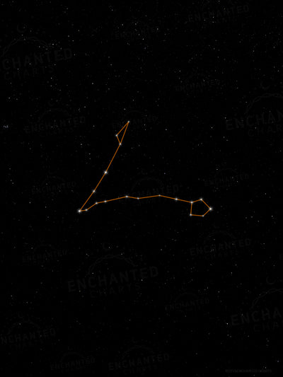 Pisces Zodiac Sign Star Print