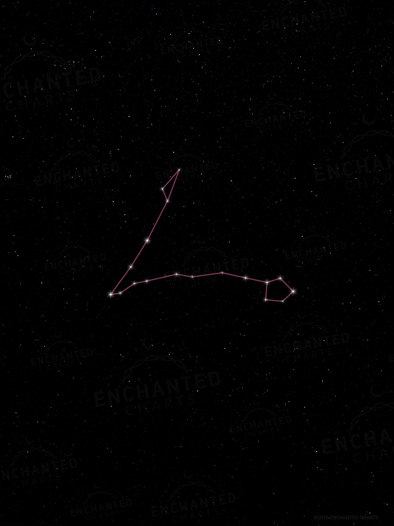 Pisces Zodiac Sign Star Print