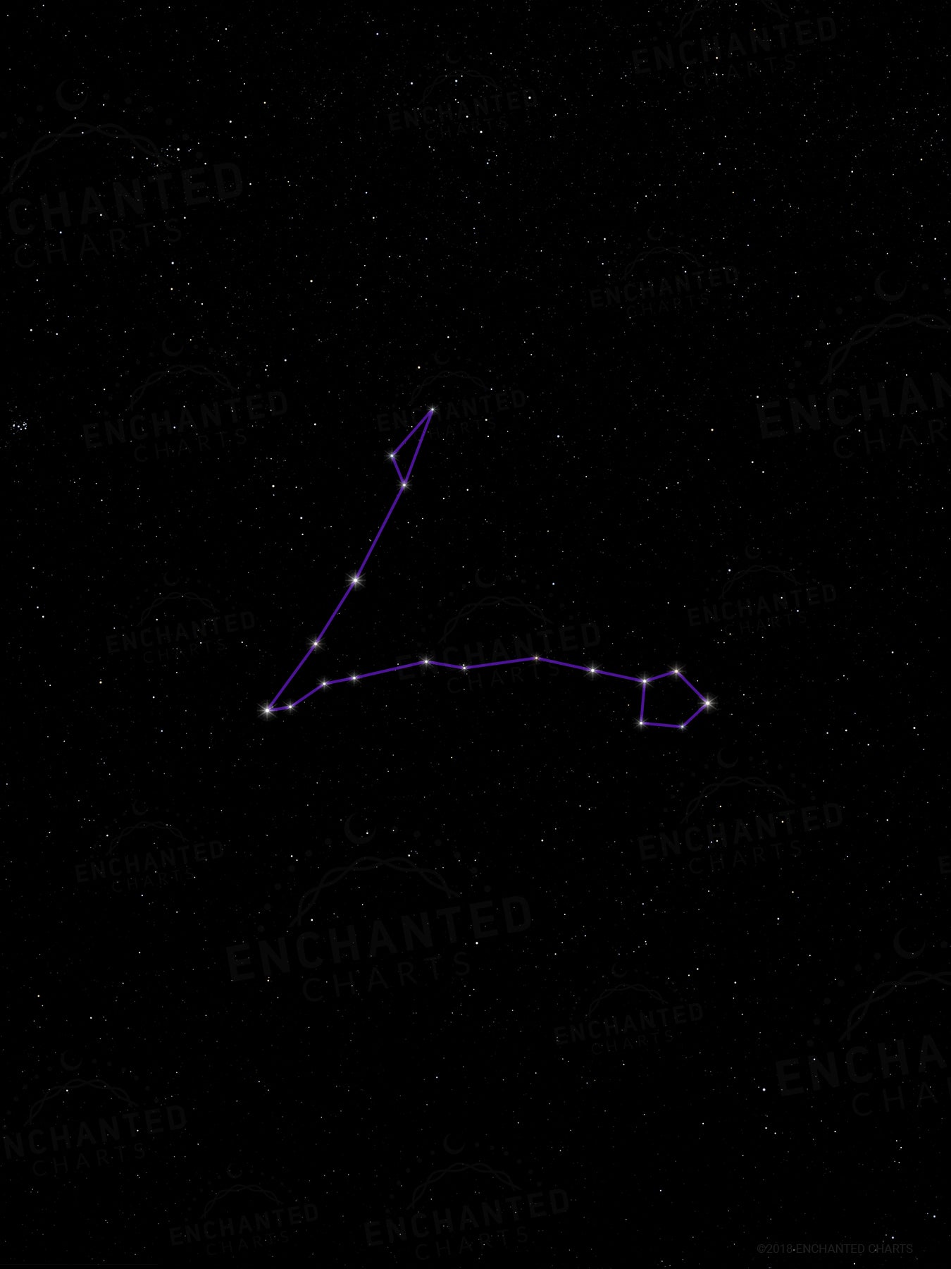 Pisces Zodiac Sign Star Print