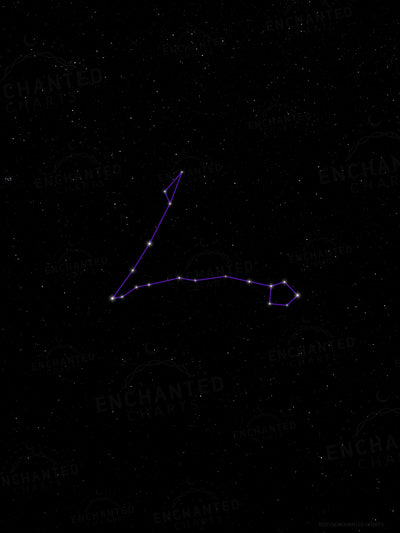Pisces Zodiac Sign Star Print