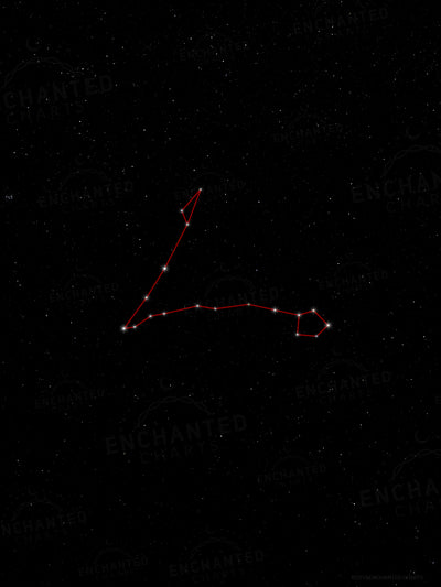 Pisces Zodiac Sign Star Print